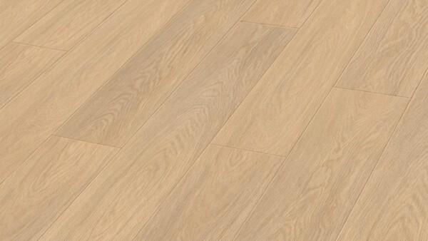 Designboden MeisterDesign. rigid RM 400 S Cloud rap 20083