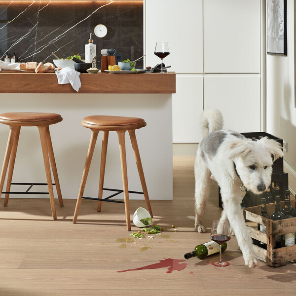 Heller Lindura-Holzboden auf dem Rotwein und Salatsoße verschüttet liegen und ein Hund durchs Bild läuft