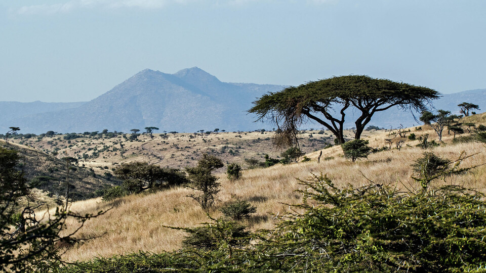 Afrika ist für viele ein Sehnsuchtsreiseziel Afrikanische Savanne