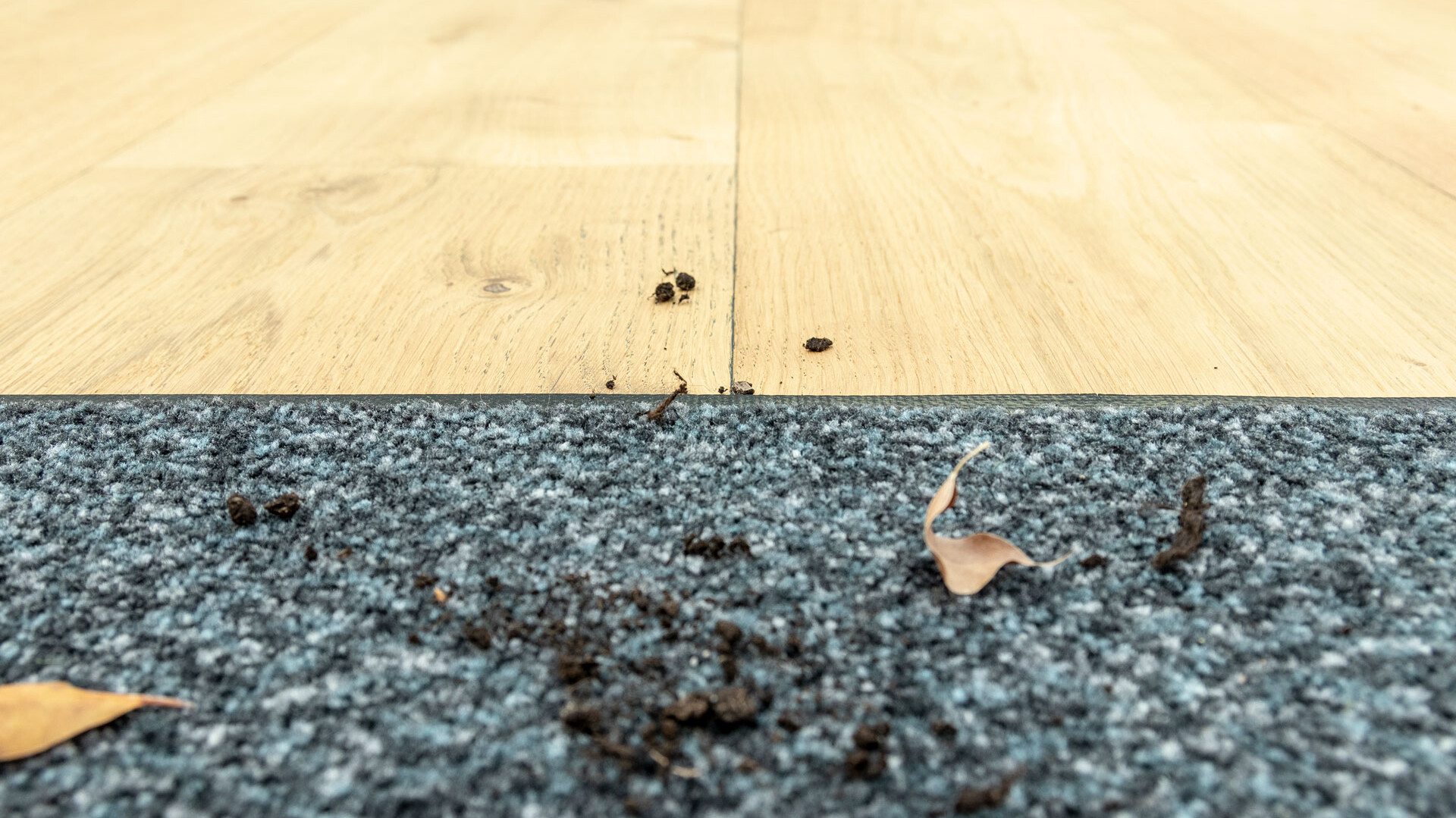 Tipps zur Werterhaltung von Parkettböden Fußmatten zur Vermeidung von Schmutz und Kratzern auf Parkett