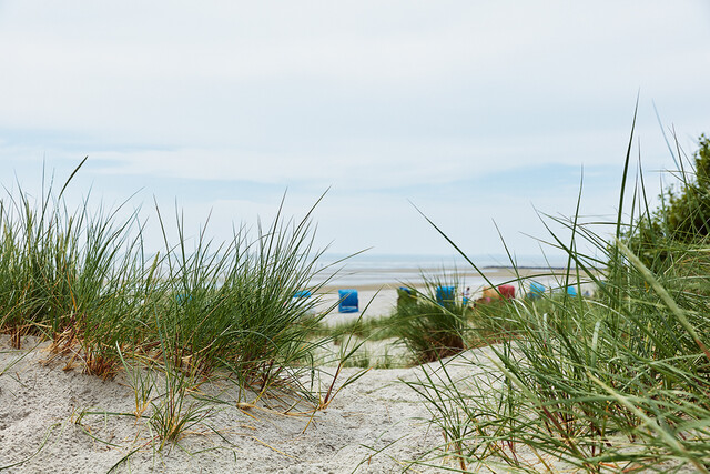 Wer das Küstenflair Zuhause möchte dekoriert am besten mit Sand, Muscheln und Gräsern Blick aufs Meer und den Strand von den Dünen aus