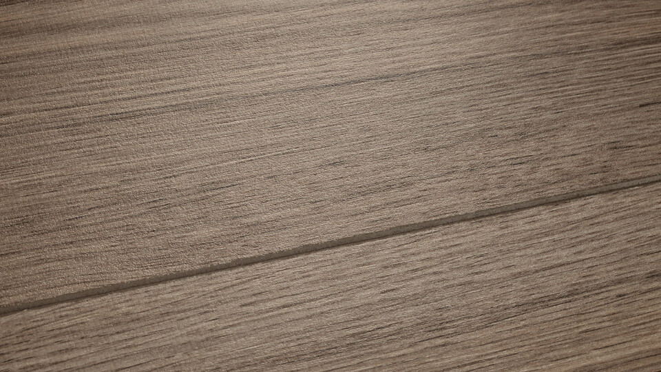 Roholz-Poren-Struktur Roholz-Poren-Struktur